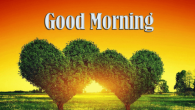 Wallpaper:9anby0dh9ue= Good Morning