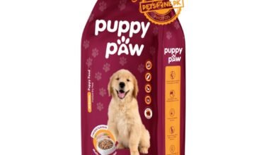 Puppy:Zcpozh6mp0s= Dogs