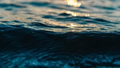 Ocean:-Ftawfrnks4= Water