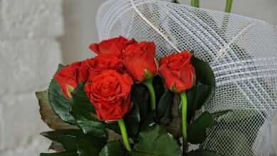 Aesthetic:Truztbk8kug= Flowers