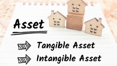 Mansion:4ufwhkkcfis= House