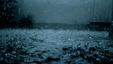 Wallpaper:9lkudbcpd1c= Rain