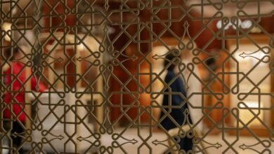 network risk identification numbers