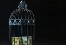 telecom security risk hotel