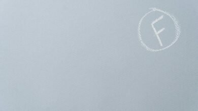 premium sector performance assessment